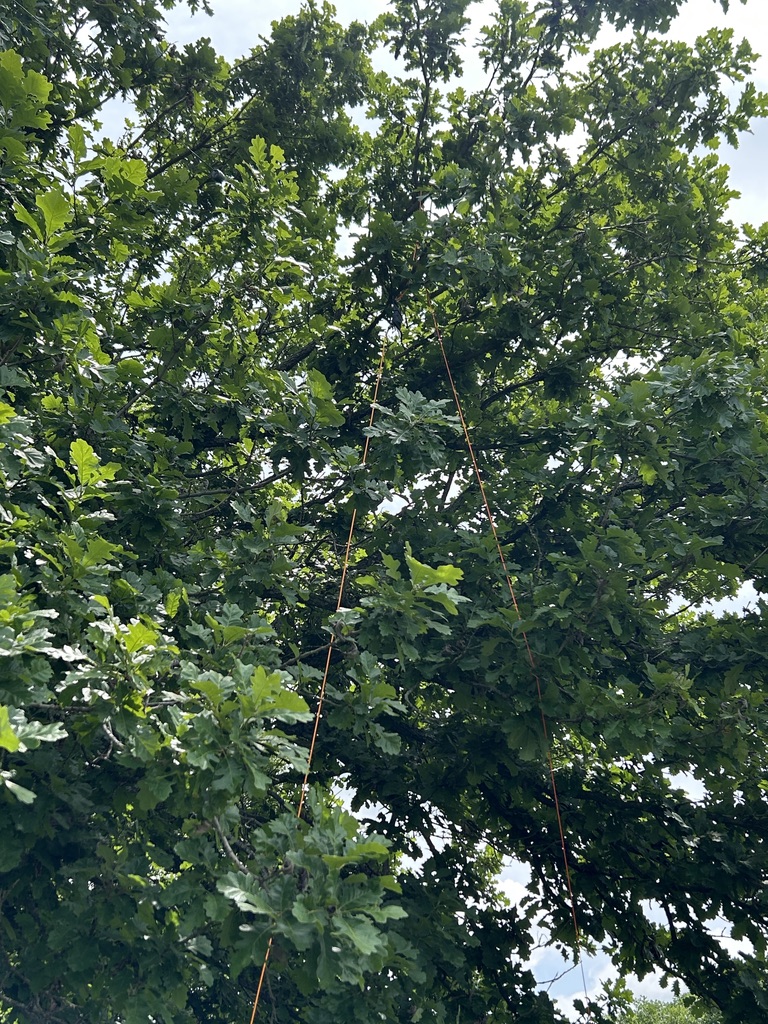 Field Report - 2026-05-27 US-7392 2ba21e9a 5766 4fa4 900b 523c92c08a92 1 105 c